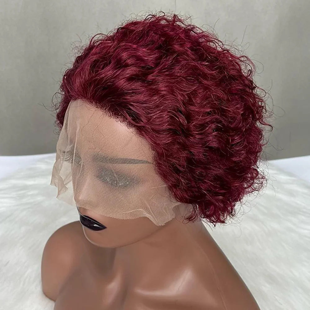 Curly Lace Front Wig for Women